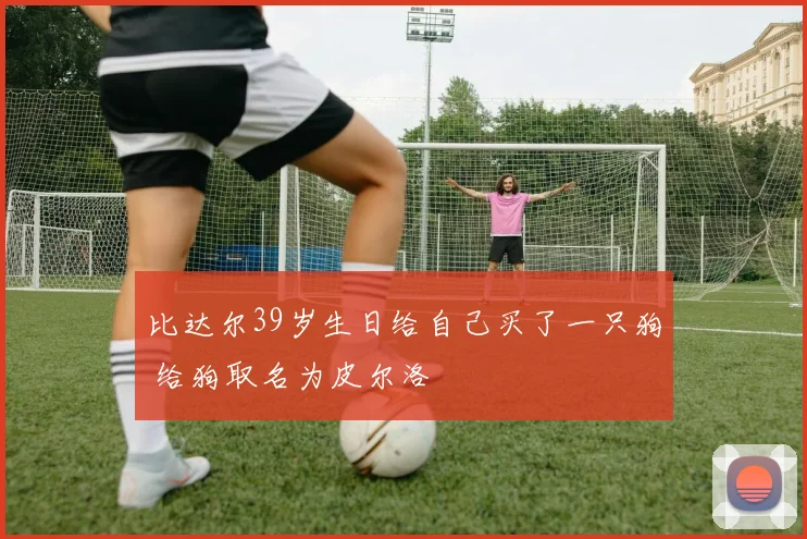 比达尔39岁生日给自己买了一只狗 给狗取名为皮尔洛